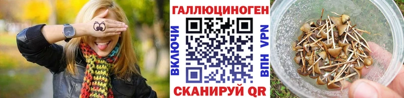 площадка телеграм  Ильский  Галлюциногенные грибы MAGIC MUSHROOMS  купить наркотик 