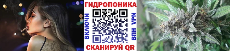 Бошки Шишки марихуана  Ильский 